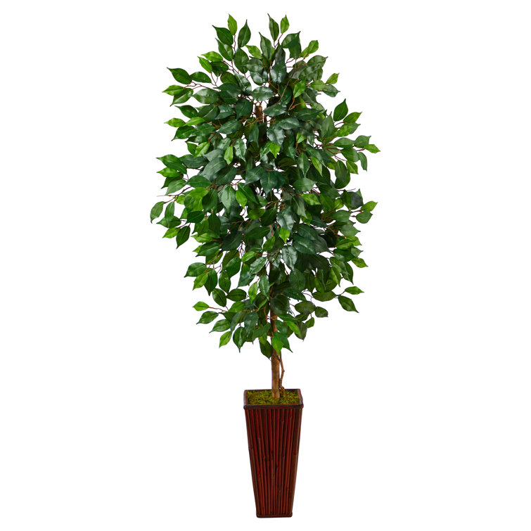 Three Posts™ 60" Artificial Ficus Tree in Planter Wayfair